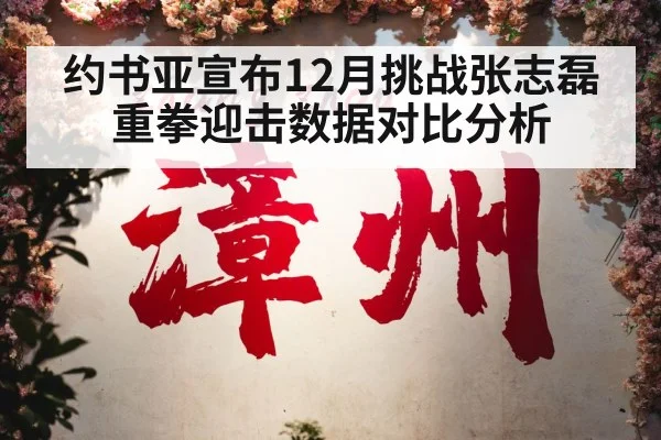 约书亚宣布12月挑战张志磊 重拳迎击数据对比分析