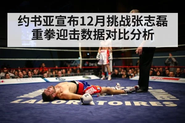 boxing knockout statistics